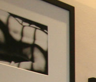 Descripcion texto fotos