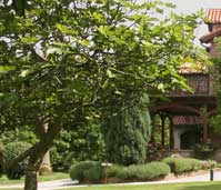 Colecciones de fotos