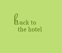 Back to the hotel