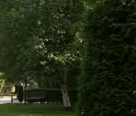 Que ver cerca del hotel